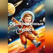 Постер книги Обыкновенные чудеса