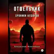 Постер книги Хроники Алдоров. Отшельник
