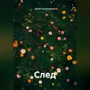 Постер книги След