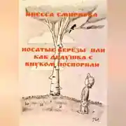 Постер книги Носатые березы или как дедушка с внуком поспорили