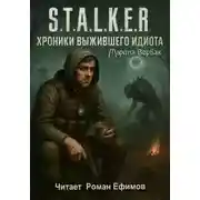 Постер книги S.T.A.L.K.E.R. Хроники выжившего идиота