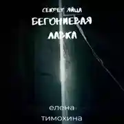 Постер книги Бегониевая лавка. Секрет яйца