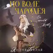 Постер книги По воле чародея