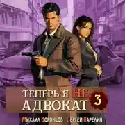 Постер книги Теперь я не Адвокат 3