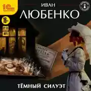 Постер книги Темный силуэт
