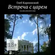 Постер книги Встреча с царем. Сказки для взрослых