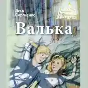 Постер книги Валька