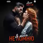 Постер книги Я тебя не помню