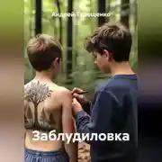 Постер книги Заблудиловка