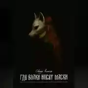 Постер книги Где волки носят маски