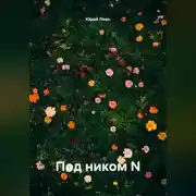 Постер книги Под ником N