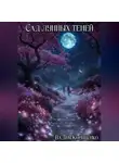 Вадим Корниенко - Сад лунных теней