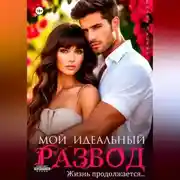 Постер книги Мой идеальный развод. Жизнь продолжается…