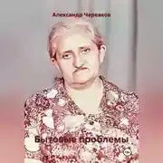 Постер книги Бытовые проблемы