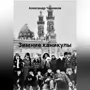Постер книги Зимние каникулы