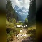 Постер книги Спичка и сугроб