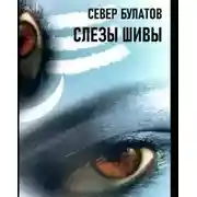 Постер книги Слёзы Шивы