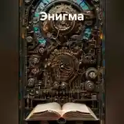 Постер книги Энигма