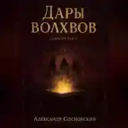 Постер книги Дары волхвов
