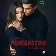 Постер книги Одно Рождество на двоих