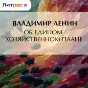 Постер книги Об едином хозяйственном плане
