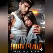 Постер книги Попутчица