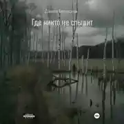Постер книги Где никто не слышит