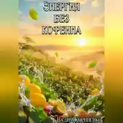 Постер книги Энергия без кофеина