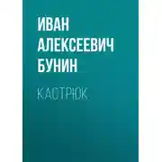 Постер книги Кастрюк