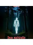 Алекс Че. - Deus machinalis