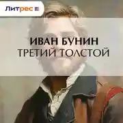Постер книги Третий Толстой