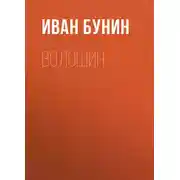 Постер книги Волошин