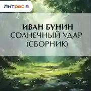 Постер книги Солнечный удар (сборник)