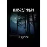 Постер книги Шизодруиды