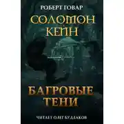 Постер книги Соломон Кейн. Багровые тени и другие рассказы