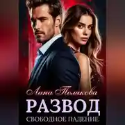 Постер книги Развод. Свободное падение