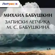 Постер книги Записки летчика М. С. Бабушкина