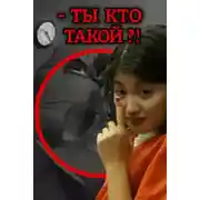 Постер книги Когда реальность и бред пересекаются