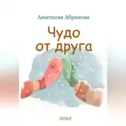 Постер книги Чудо от друга