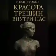Постер книги Красота трещин внутри нас