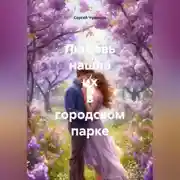 Постер книги Любовь нашла их в городском парке