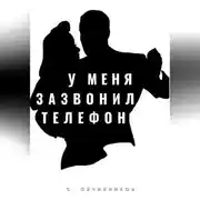 Постер книги У меня зазвонил телефон