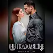 Постер книги (Не)подходящие