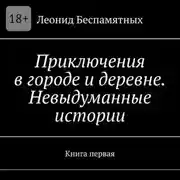 Постер книги Приключения в городе и деревне. Невыдуманные истории. Книга первая