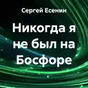Постер книги Никогда я не был на Босфоре