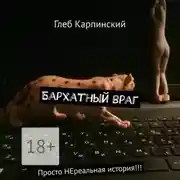 Постер книги Бархатный враг. Просто НЕреальная история!!!
