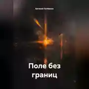 Постер книги ПОЛЕ БЕЗ ГРАНИЦ