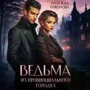 Постер книги Ведьма из провинциального городка