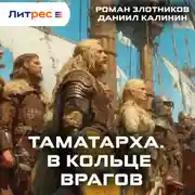 Постер книги Таматарха. В кольце врагов