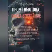 Постер книги Промт Ньютона: Омега Состояние